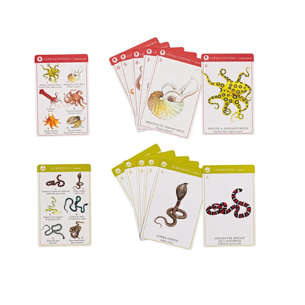 Hot Kortspil - Dyrearter (engelsk/fransk)