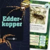 Clearance Kortspil - Edderkopper