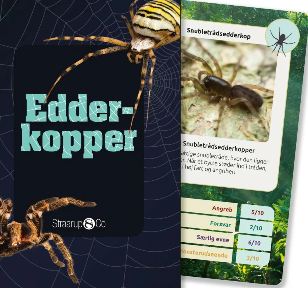 Clearance Kortspil - Edderkopper