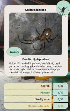 Clearance Kortspil - Edderkopper