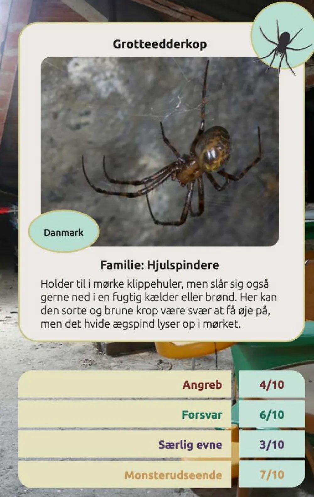 Clearance Kortspil - Edderkopper