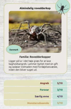 Clearance Kortspil - Edderkopper