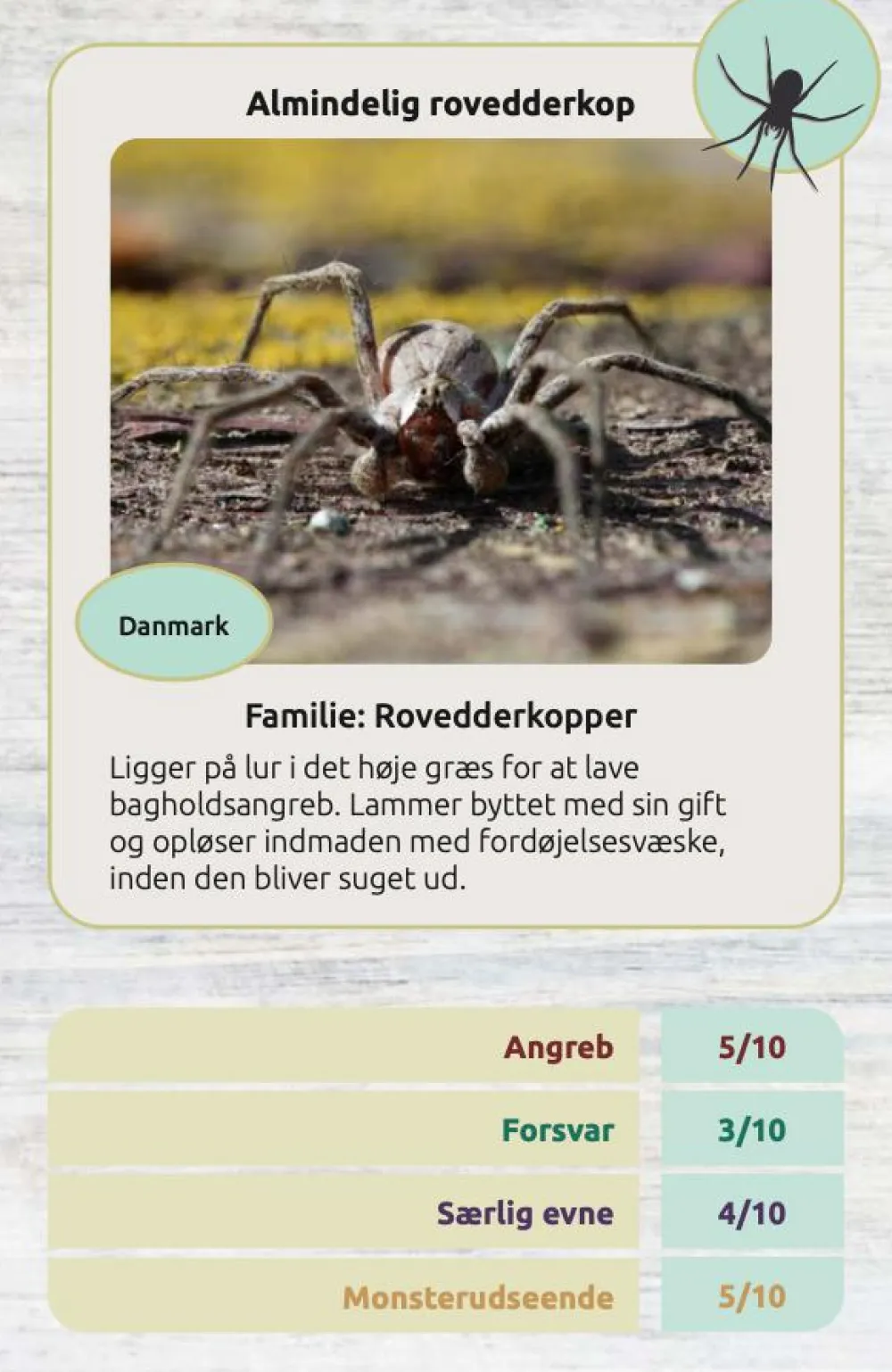 Clearance Kortspil - Edderkopper