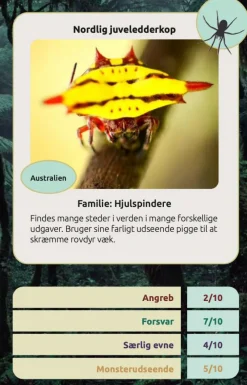 Clearance Kortspil - Edderkopper