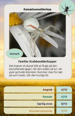 Clearance Kortspil - Edderkopper