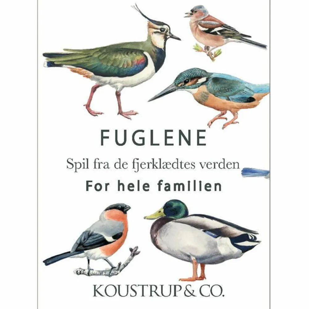 Discount Kortspil - Fuglenes verden