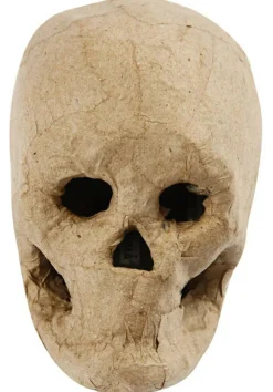 Best Creativ Company Kranium i papmaché - H: 10 cm.