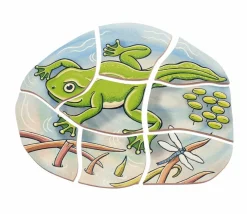 Hot Beleduc Lag puslespil - Frøens livscyklus