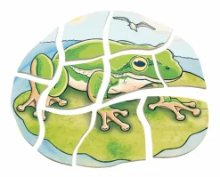 Hot Beleduc Lag puslespil - Frøens livscyklus