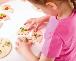 Beleduc Lag puslespil - Livscyklusser