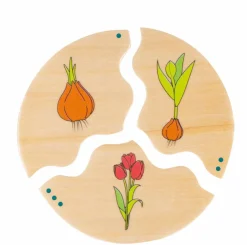 Beleduc Lag puslespil - Livscyklusser