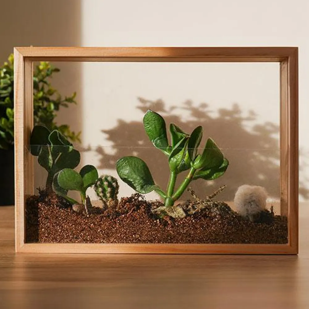 Clearance Lav din egen vertikale mini-have