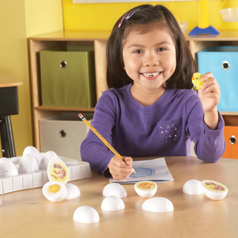 Discount Learning Resources Livscyklus - Fra befrugtning til kylling