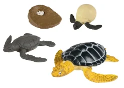 Outlet Livscyklus - Fra æg til havskildpadde