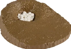 Outlet Livscyklus - Fra æg til havskildpadde