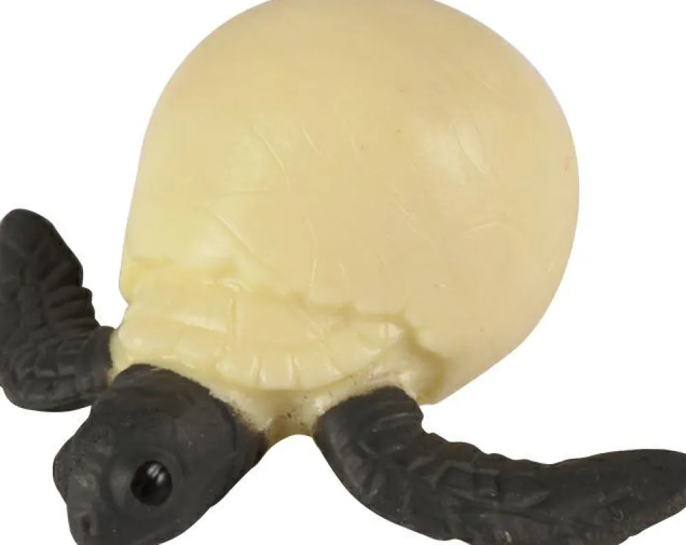 Outlet Livscyklus - Fra æg til havskildpadde