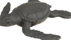 Outlet Livscyklus - Fra æg til havskildpadde