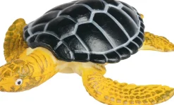 Outlet Livscyklus - Fra æg til havskildpadde