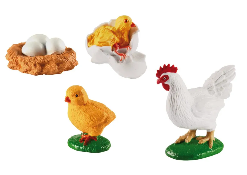 Discount Livscyklus - Fra æg til høne