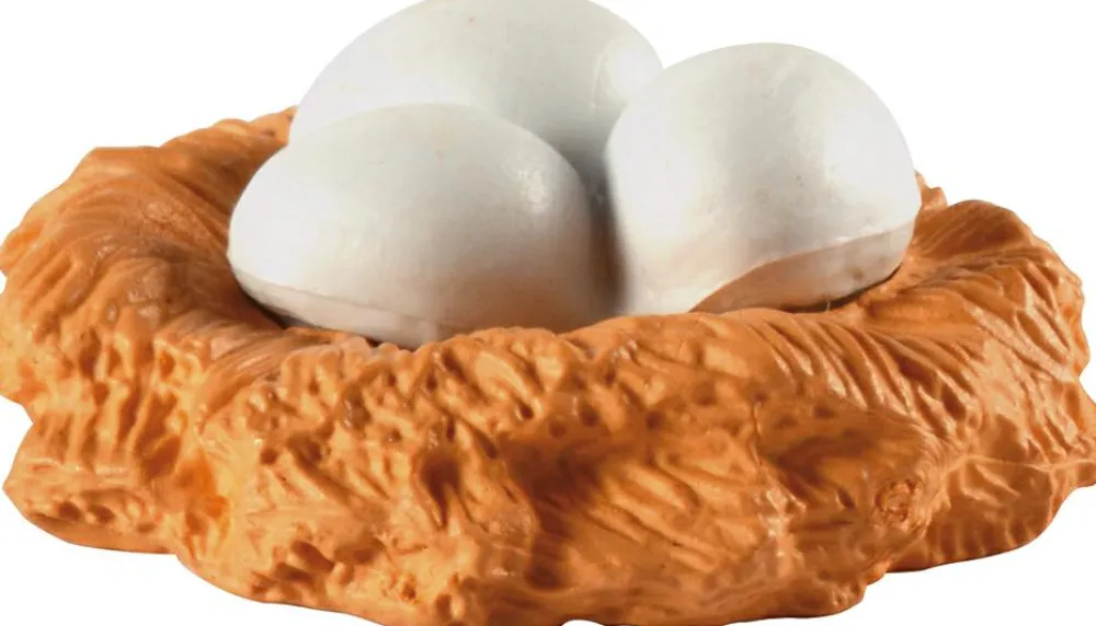 Discount Livscyklus - Fra æg til høne