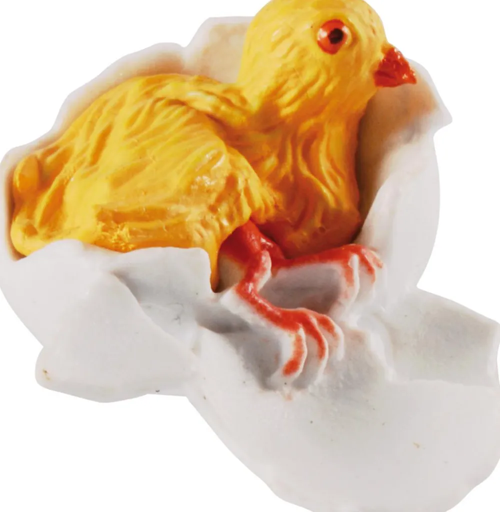 Discount Livscyklus - Fra æg til høne