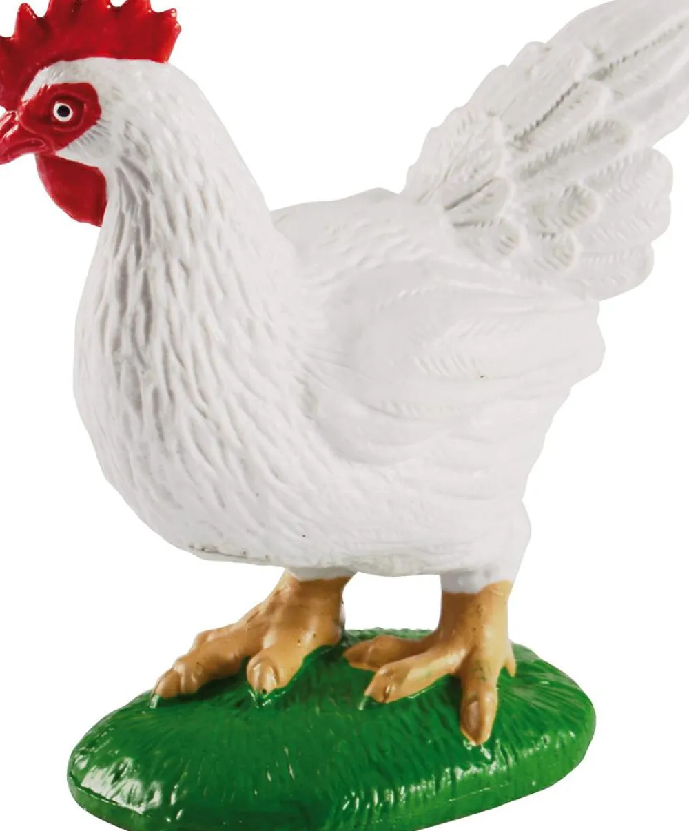 Discount Livscyklus - Fra æg til høne