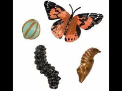 Best InsectLore Livscyklus: Fra æg til insekt - Sommerfugl