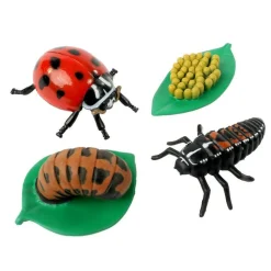 Discount InsectLore Livscyklus: Fra æg til insekt - Mariehøne