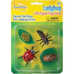 Discount InsectLore Livscyklus: Fra æg til insekt - Mariehøne