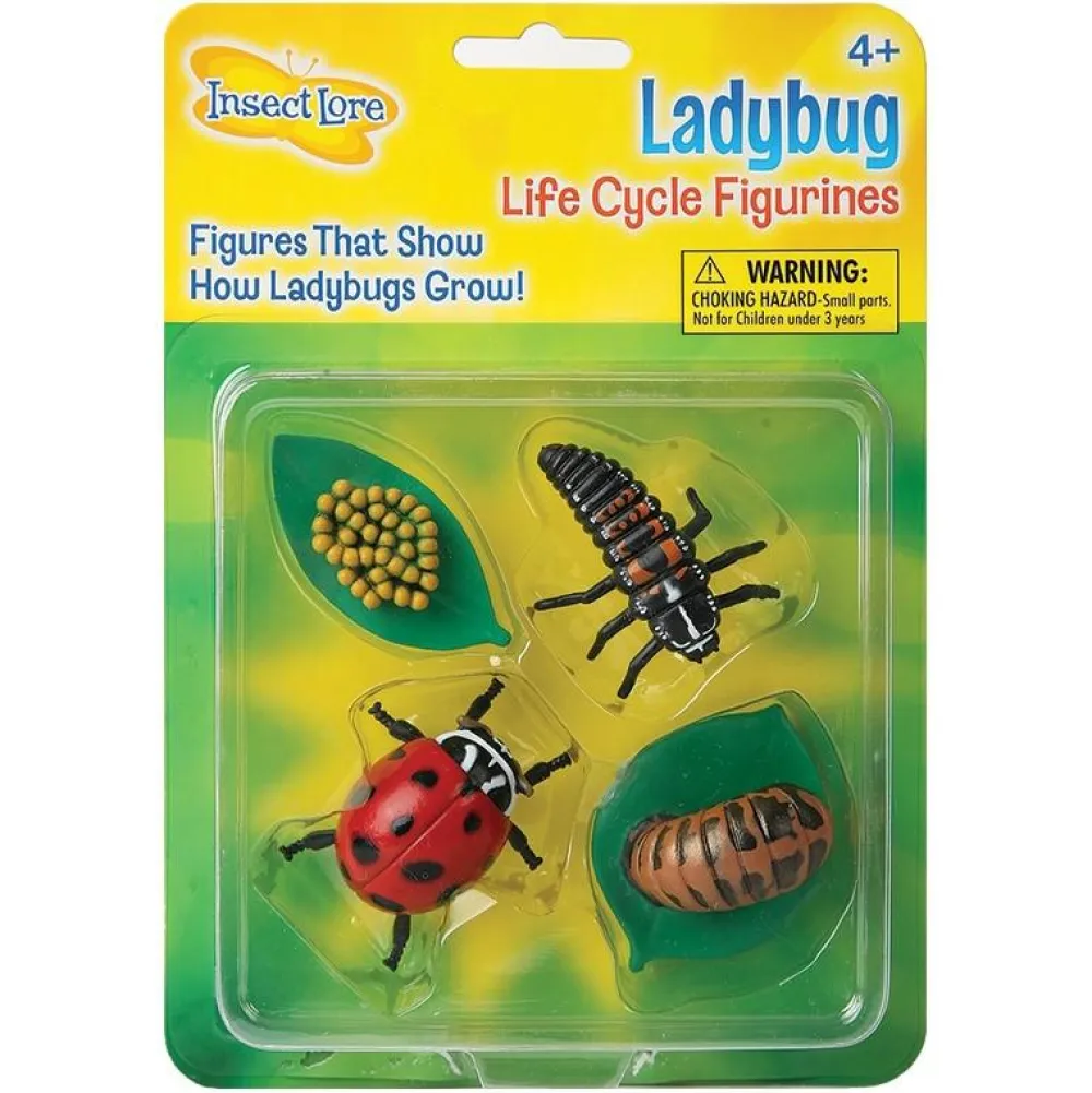 Discount InsectLore Livscyklus: Fra æg til insekt - Mariehøne