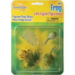 Sale InsectLore Livscyklus: Fra æg til padde - Frø