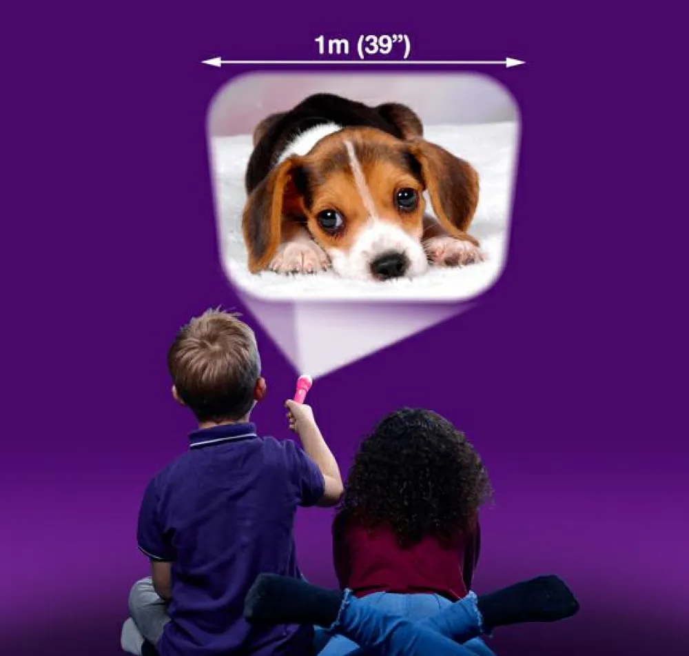 Discount Brainstorm Lommelygte med dias - Nuttede dyr