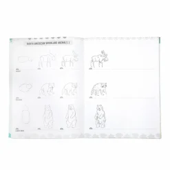 Hot eeBoo Lær at tegne - Vilde dyr