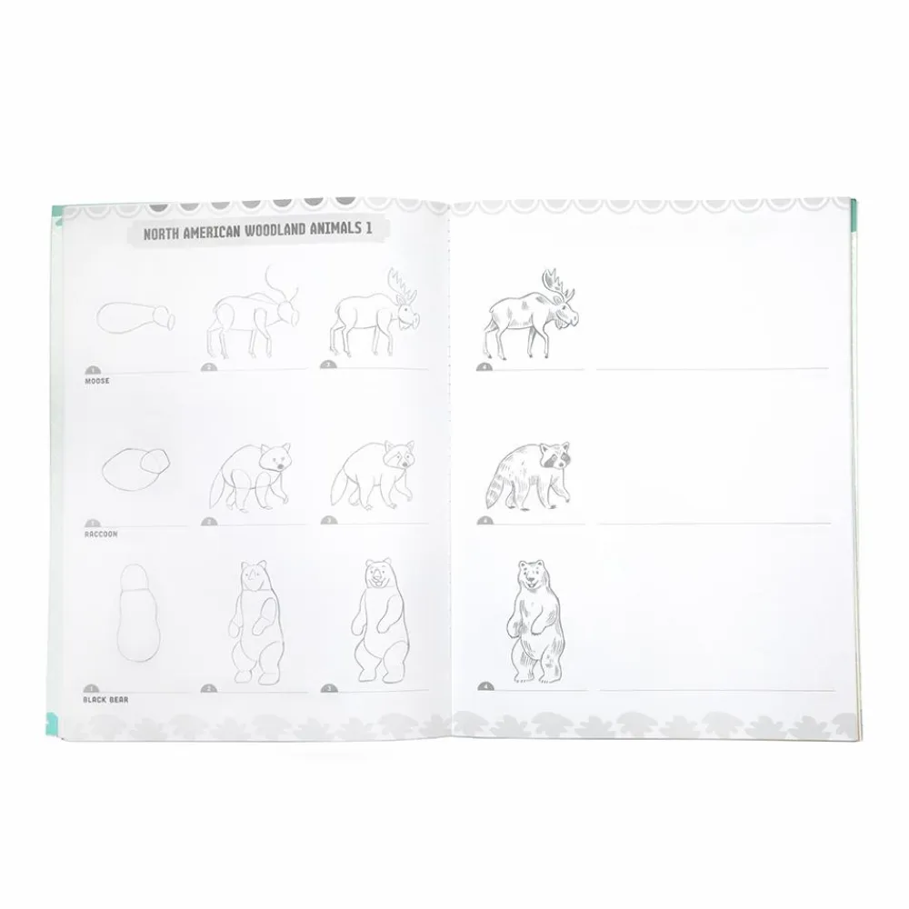 Hot eeBoo Lær at tegne - Vilde dyr