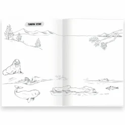 Hot eeBoo Lær at tegne - Vilde dyr