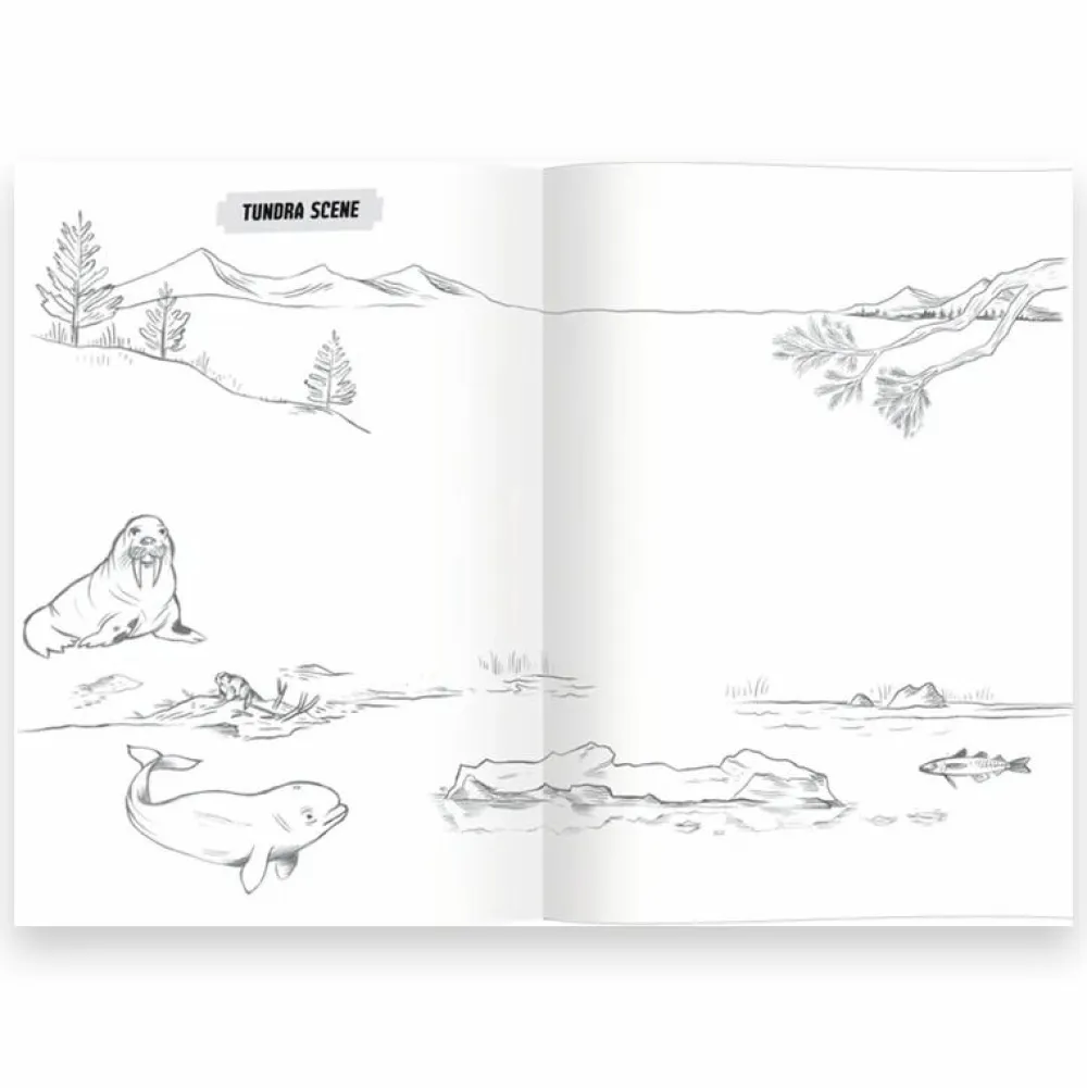 Hot eeBoo Lær at tegne - Vilde dyr