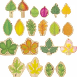 Best Lær om blade og løvfald, 10 dele