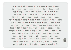 Best Læringsunderlag - 120 Hyppiste danske ord