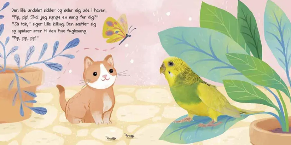 Forlaget Bolden Lyt, rør og føl - Følg lille killing