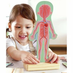 New Hape Magnetisk puslespil - Anatomi