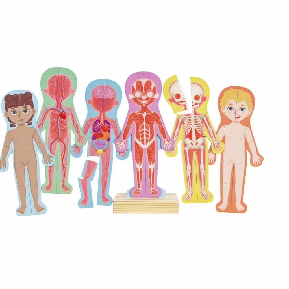 New Hape Magnetisk puslespil - Anatomi