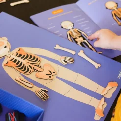 New mierEdu Magnetleg - Lær om kroppens funktioner, 120+ dele