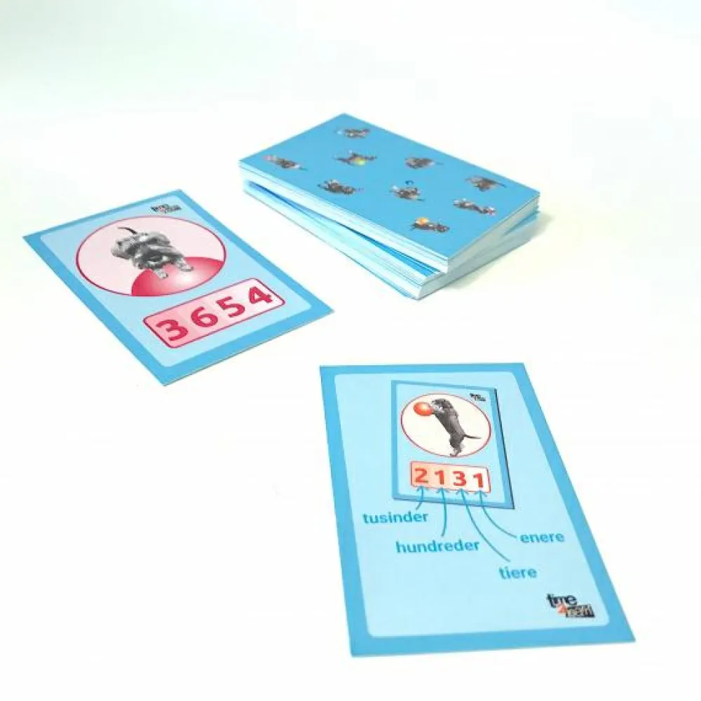 New Time2Learn Matematik | 2. klasse | Hundepositioner