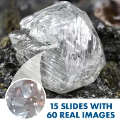 Clearance Learning Resources Mikroskop - Mit første m. fotos