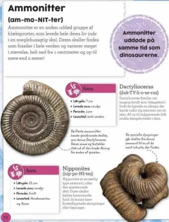 Sale Forlaget Bolden Min bog om fossiler