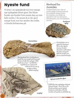 Sale Forlaget Bolden Min bog om fossiler