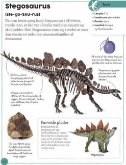 Sale Forlaget Bolden Min bog om fossiler