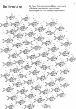 Hot Forlaget Bolden Min sjove ferie opgavebog - Fra 6 år