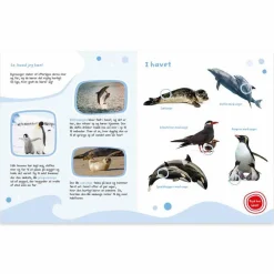 Forlaget Bolden Min store lydbog med dyreunger