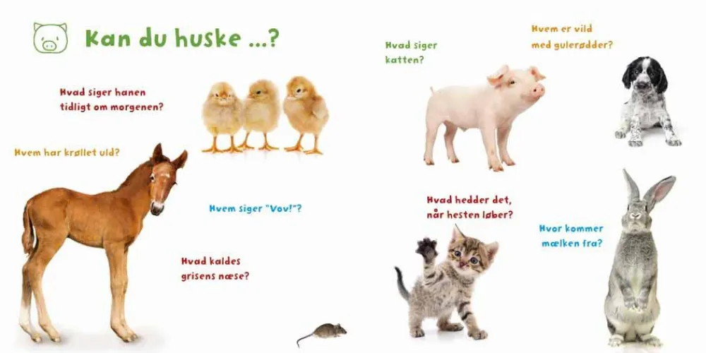 Clearance Forlaget Bolden Min verden i billeder - Bondegården